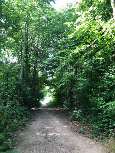 Die wunderschöne Welt mit Hund.-Beitrag-Bild