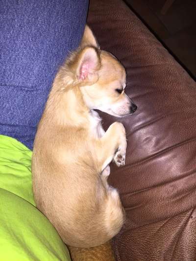 Ach, wie schnell die Zeit vergeht-Beitrag-Bild