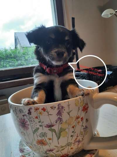 Ach, wie schnell die Zeit vergeht-Beitrag-Bild