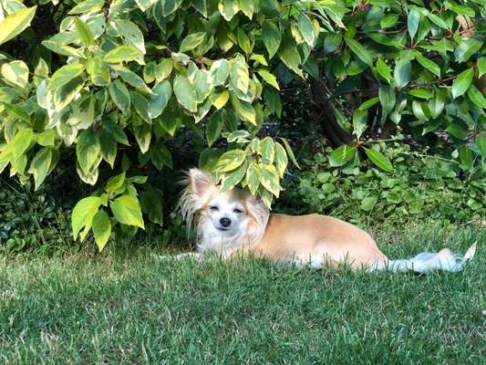 Handy-Foto-Challange Nr.9-Beitrag-Bild