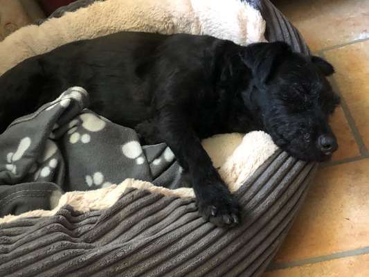 Foto Challenge Nr. 134-Beitrag-Bild