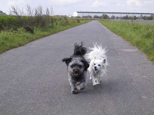 Moviestar-Pics!-Beitrag-Bild