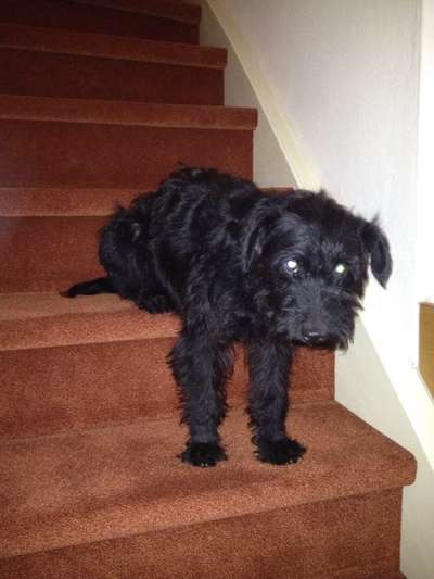 Fotochallange 84-Beitrag-Bild