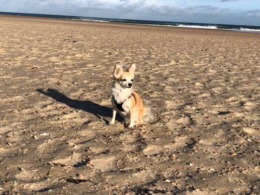 Fotochallenge Nr. 94 It's summer time-Beitrag-Bild