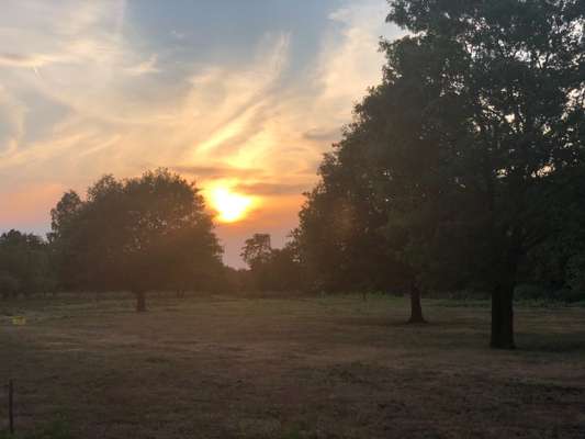 Die wunderschöne Welt mit Hund.-Beitrag-Bild
