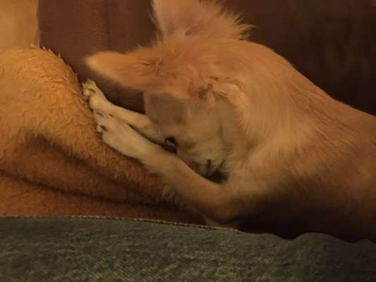 Ach, wie schnell die Zeit vergeht-Beitrag-Bild