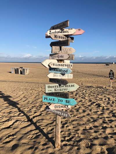 Die wunderschöne Welt mit Hund.-Beitrag-Bild