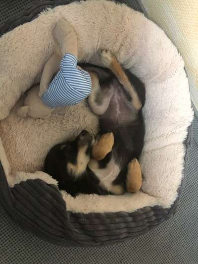 Ach, wie schnell die Zeit vergeht-Beitrag-Bild