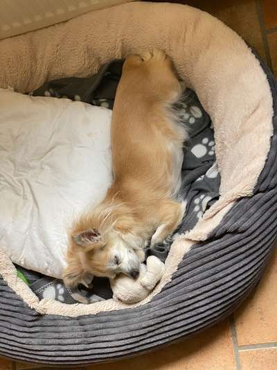 FOTO-Challenge  NR. 91: Die pure Entspannung-Beitrag-Bild