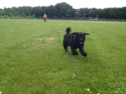 Foto-Challenge Nr. 90: Lebensfreude-Beitrag-Bild