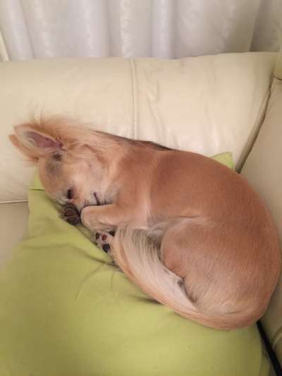 Foto Challenge Nr. 134-Beitrag-Bild