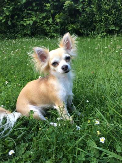 Fotochallenge 78

Es grünt und blüht-Beitrag-Bild