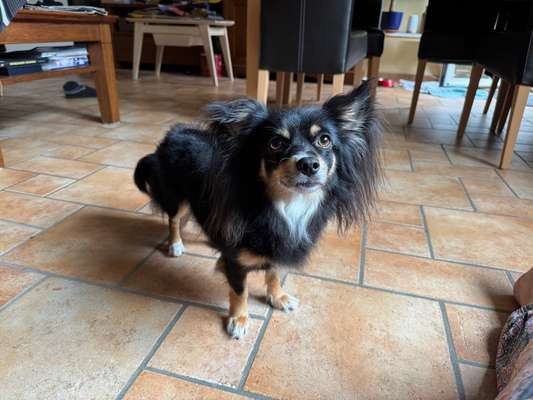 Ach, wie schnell die Zeit vergeht-Beitrag-Bild