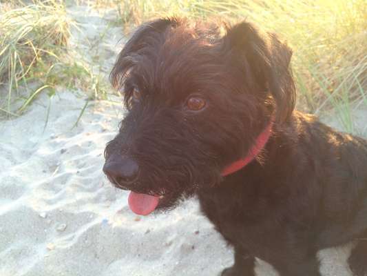 Fotochallenge Nr.100 Urlaubsimpressionen-Beitrag-Bild