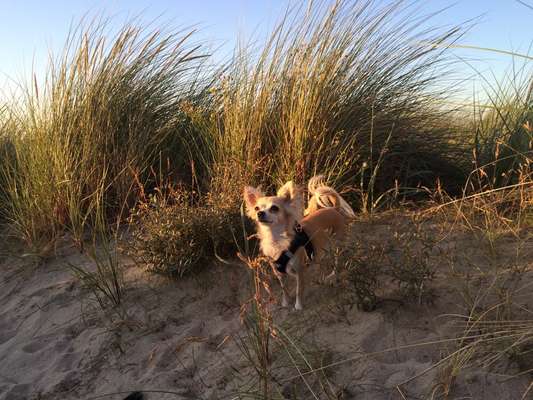 Theos  Fotochallenge Nummer 2-Beitrag-Bild