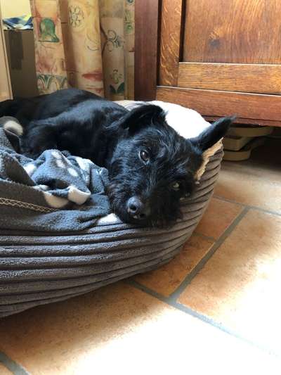 FOTO-Challenge  NR. 91: Die pure Entspannung-Beitrag-Bild