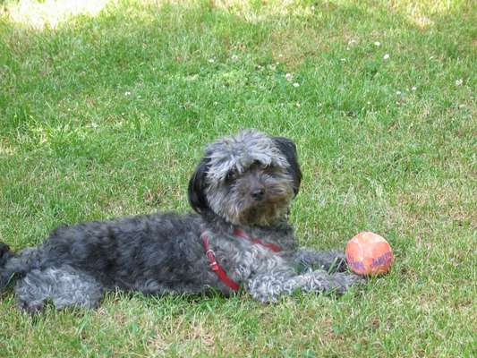 Fotochallenge No.97-Beitrag-Bild