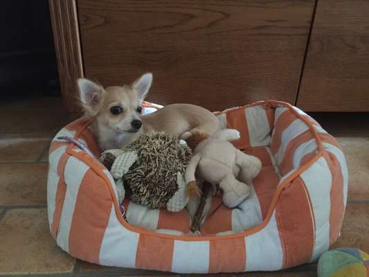 Fotochallange Nummer 5-Beitrag-Bild