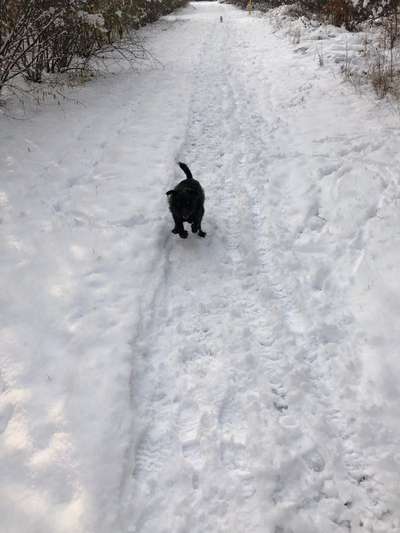 Handy-Foto-Challange Nr.9-Beitrag-Bild