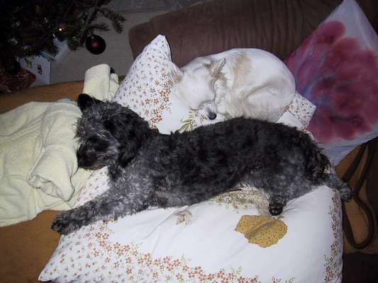 Foto Challenge Nr. 134-Beitrag-Bild