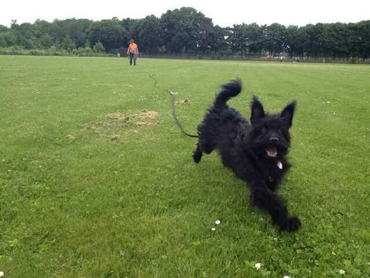 Un...scharf Bilder-Beitrag-Bild