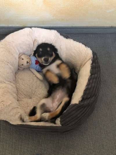 Moviestar-Pics!-Beitrag-Bild