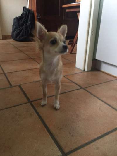 Ach, wie schnell die Zeit vergeht-Beitrag-Bild