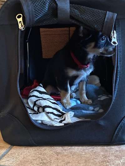 Fotochallange Nummer 5-Beitrag-Bild