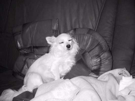 Handy-Foto Challange Nr. 10-Beitrag-Bild