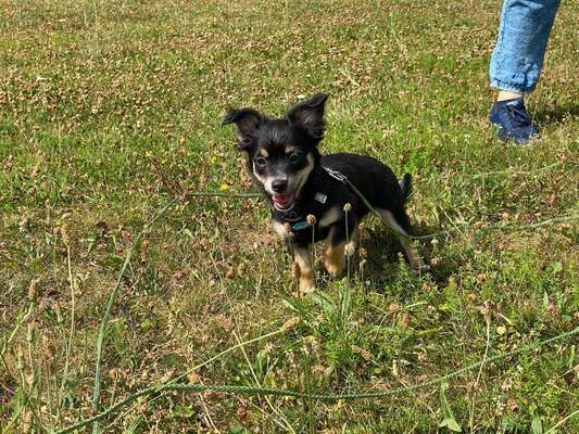 Ach, wie schnell die Zeit vergeht-Beitrag-Bild