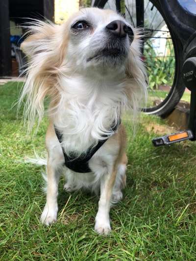 Fotochallange 84-Beitrag-Bild