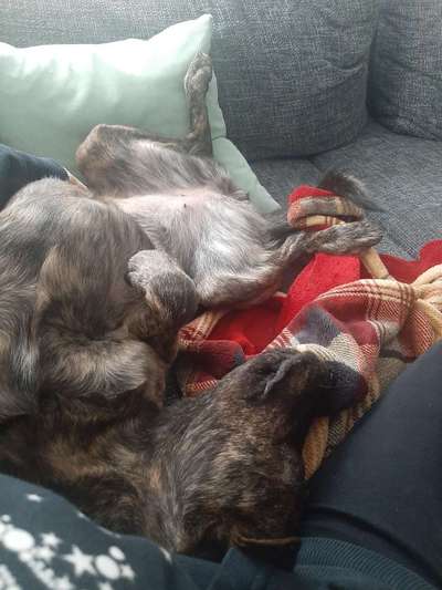 Fotochallenge Nr.65-Beitrag-Bild