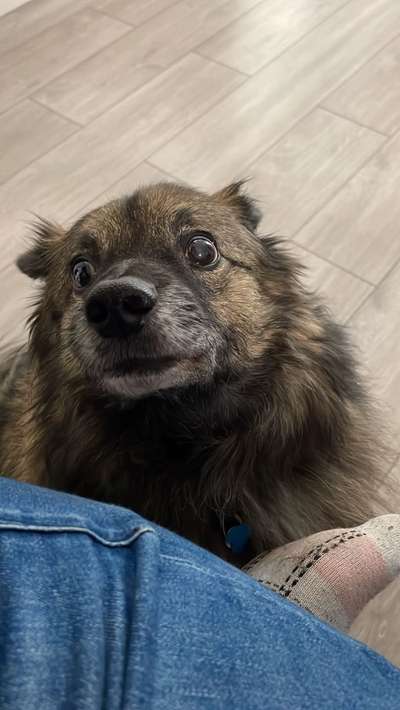 Dogorama Photo Challenge - Details Ganz nah-Beitrag-Bild