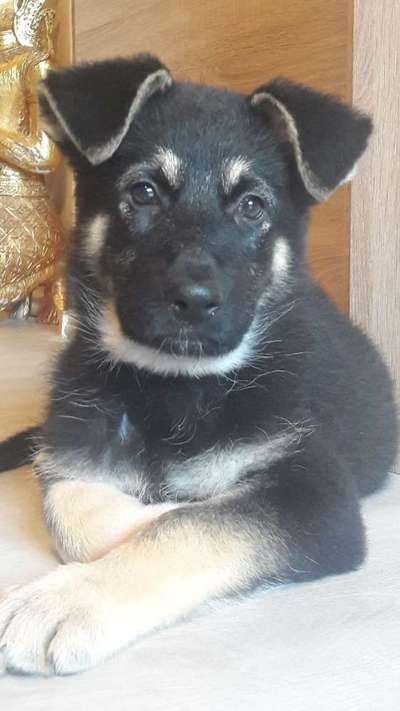 Fotochallange Nr. 57     PORTRÄT.   Beendet!!!!!!!!-Beitrag-Bild