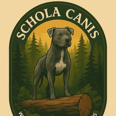 Hundeschulen-Schola Canis-Bild