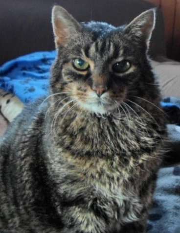 Fotochallenge Nr. 56 - geliebte Senioren-Beitrag-Bild