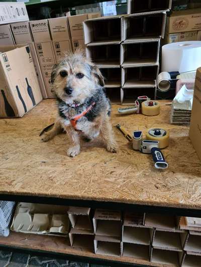 Lieblingsbild :D-Beitrag-Bild