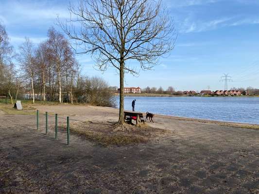 Hundeauslaufgebiet-Timmeler Meer-Bild