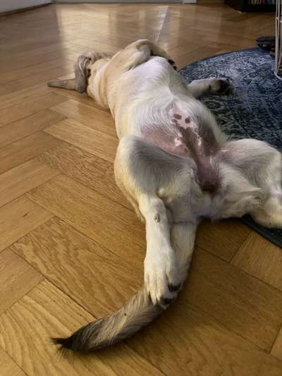 Fotochallenge Nr.65-Beitrag-Bild