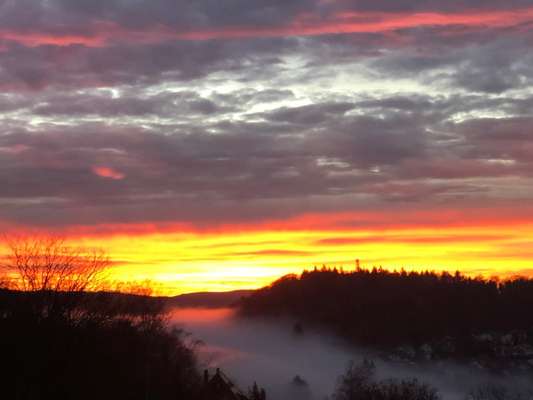 Die wunderschöne Welt mit Hund.-Beitrag-Bild