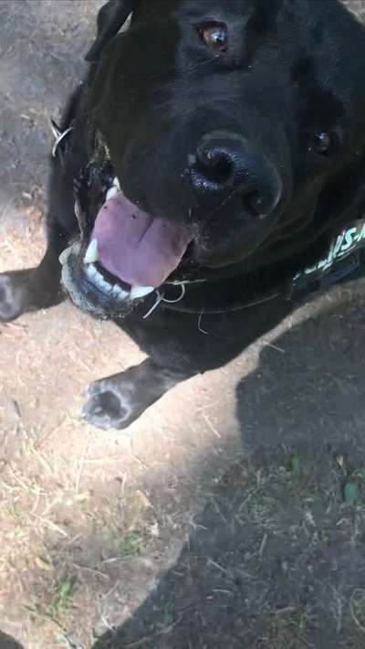 Immer lächeln !-Beitrag-Bild