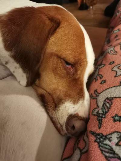 Hier ist der Spaßthread. Zum Schmunzeln und Kaputtlachen-Beitrag-Bild