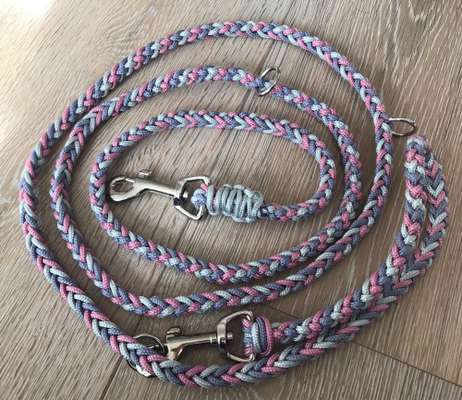 Bastelstunde für den Vierbeiner-Beitrag-Bild