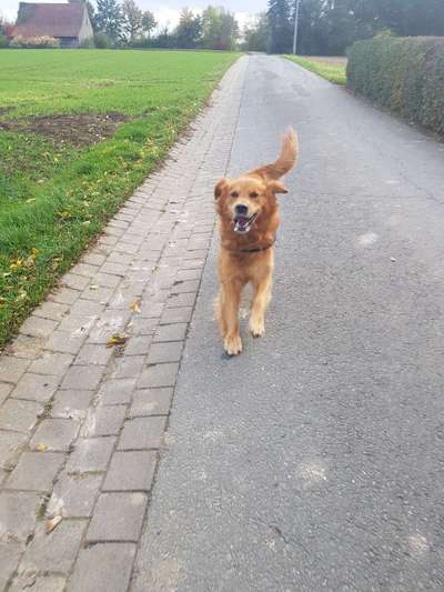 Lustige Bilder-Beitrag-Bild