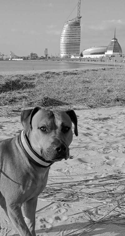 Foto-Challenge 76: Foto in Schwarz-Weiss-Beitrag-Bild