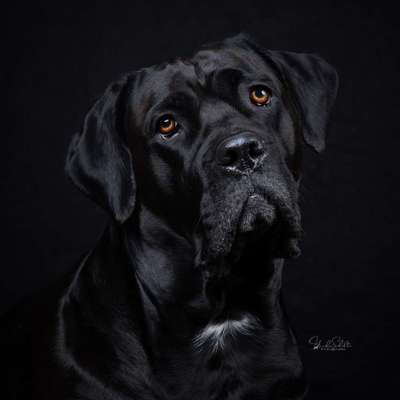 Dein Wunschbild?-Beitrag-Bild