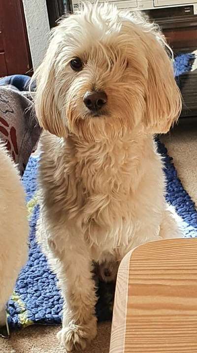 Fotochallenge No. 5-Beitrag-Bild