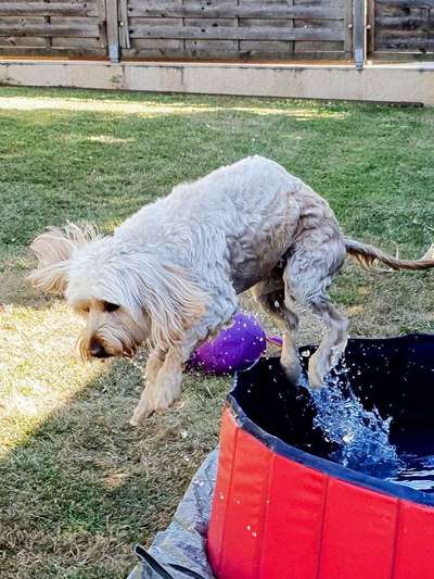 Foto Challenge - BEENDET - bitte aktuelle Challenge nutzen-Beitrag-Bild