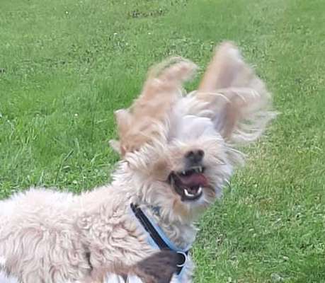 Un...scharf Bilder-Beitrag-Bild