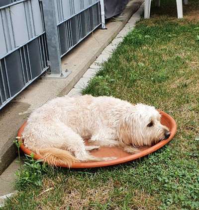 Challenge Nr 14
Eure Fellnasen auf ihrem Lieblingsplatz-Beitrag-Bild